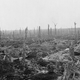 Illustration for article titled The 10 Biggest Misconceptions About the First World War